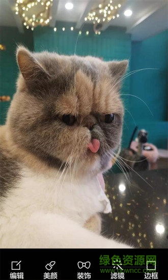 酷我表情照相機軟件 v8081.21.6.2 安卓版 0