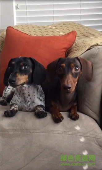 短視頻美拍秀手機版