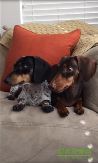 短視頻美拍秀 v3.1.2 安卓版 3