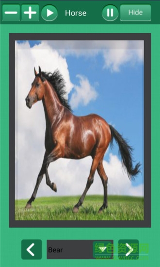 小豬佩奇愛(ài)學(xué)習(xí) v1.2 安卓版 3