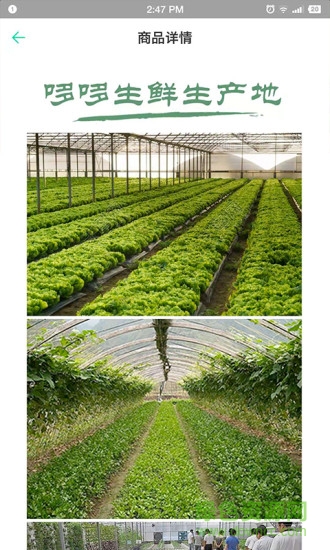 哆哆生鮮 哆哆生鮮安卓版下載