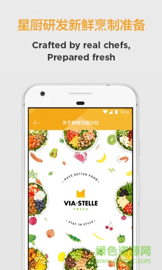via stelle app v2.1.1 安卓版 2