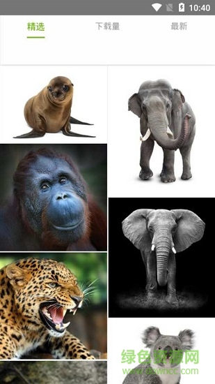 管家婆圖庫 v1.0.0 安卓版 0