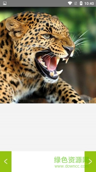 管家婆圖庫 管家婆圖庫下載