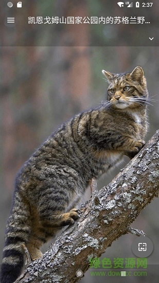 Starth必應(yīng)壁紙 v1.3.5 安卓版 0