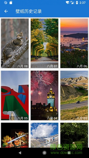 Starth必應(yīng)壁紙 v1.3.5 安卓版 2