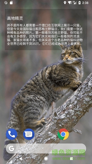 starth必應(yīng)壁紙app下載