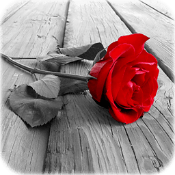 photo art照片藝術(shù)