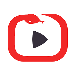 視頻收藏家(游戲視頻)