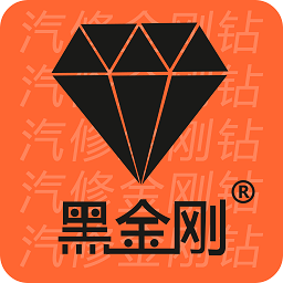 金奔騰黑金剛C汽車(chē)診斷