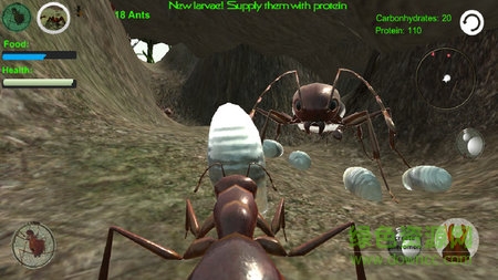 螞蟻模擬3d中文正式版 v2.8.5 安卓漢化版 2