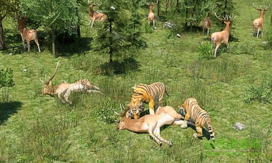 野生老虎模擬器無敵版 v1.6 安卓版 1