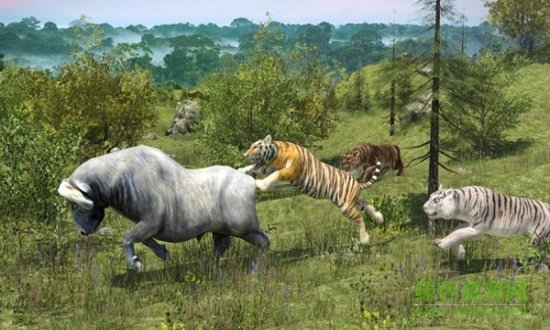 野生老虎模擬器免費下載