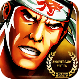 武士II復(fù)仇（官方通用版）