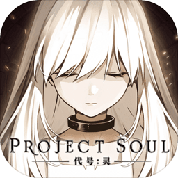 代號(hào)靈游戲