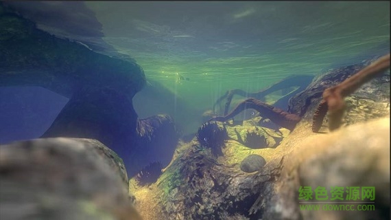 飼料和成長魚手游下載