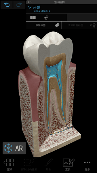 2023人體解剖學(xué)圖譜蘋果版 v2024.0.05 官方版 1