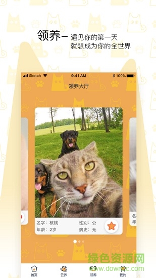 我要貓安卓版 我要貓手機(jī)版