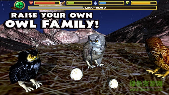 終極貓頭鷹模擬器完美版 v1 安卓版 0