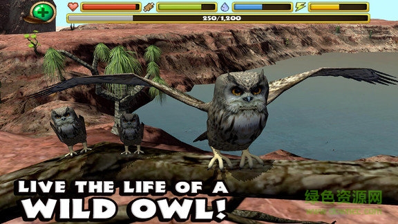 終極貓頭鷹模擬器 終極貓頭鷹模擬器下載