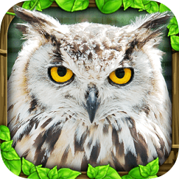 終極貓頭鷹模擬器完美版