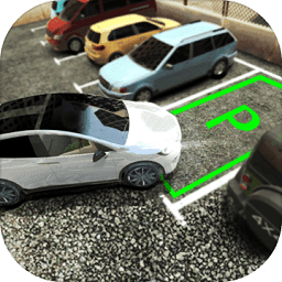 真實停車高手內(nèi)購