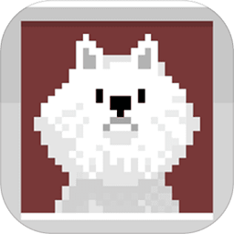 狗狗庇護(hù)所內(nèi)購