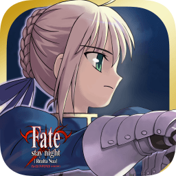 命運(yùn)守護(hù)夜新星中文手機(jī)版(Fate)