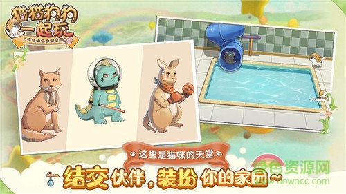 猫猫狗狗一起玩 猫猫狗狗一起玩游戏下载