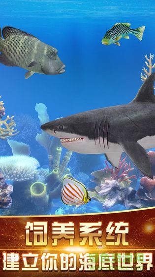 咕咚釣魚 v1.0.1 安卓版 2