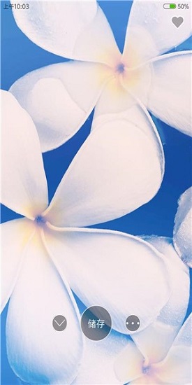 4k高清壁紙精靈官方版 v1.0.2 安卓版 0