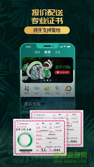 淘翠珠寶 v1.2.2 安卓版 2