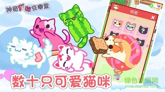 神奇貓咪在哪里 v1.0 安卓版 1