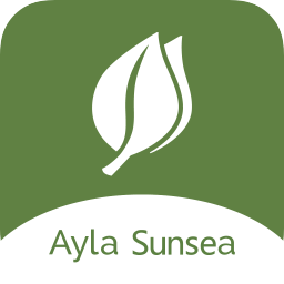 日海艾拉云平臺