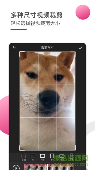 瓢蟲視頻編輯器 v1.0.0 安卓版 3