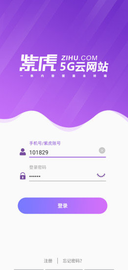 紫虎 紫虎app下載