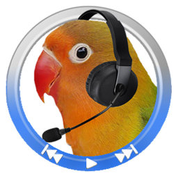 audio looper經(jīng)典復(fù)讀機(jī)