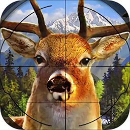 機(jī)智的小動(dòng)物金幣無限