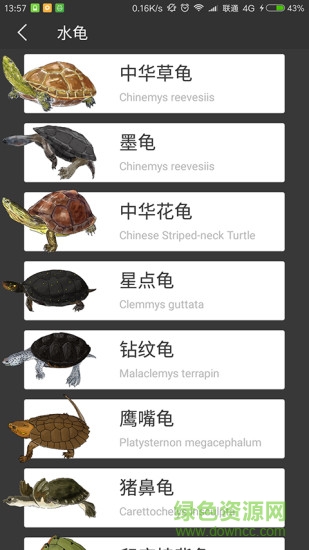 龜舍 v1.1 安卓版 0