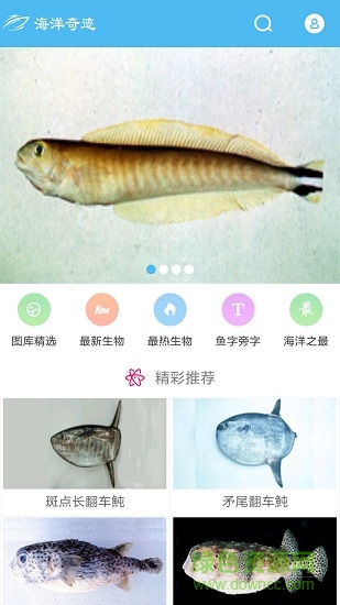 海洋奇迹 海洋奇迹app下载