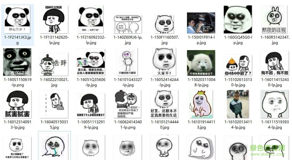 熬夜熊貓眼下載
