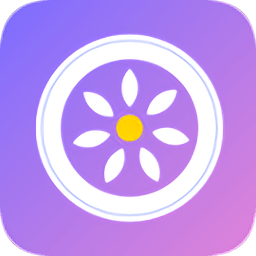 女司機(jī)(汽車(chē)違章查詢(xún))