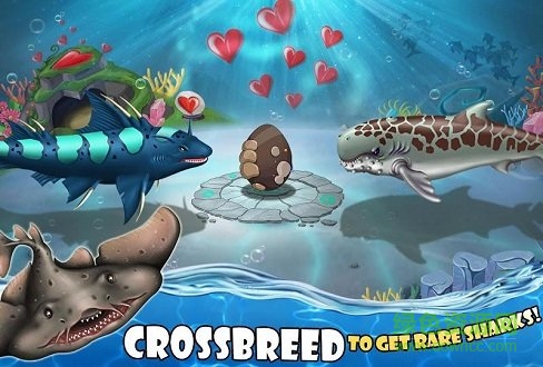 鯊魚(yú)世界安卓版