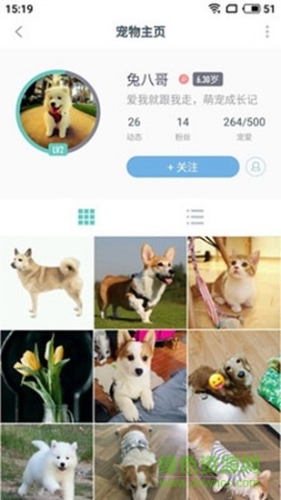 寧波寵咖 v1.0.0 安卓版 0