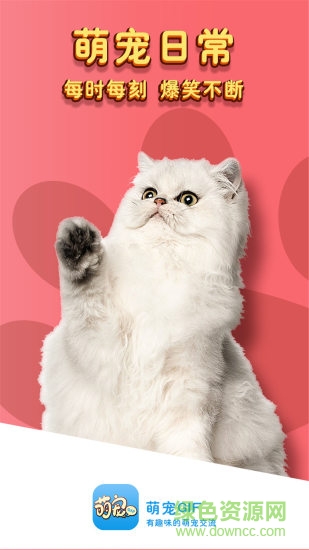 萌宠gif手机版