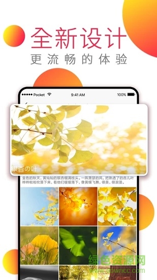 動態(tài)高清壁紙手機版 v2.0.0 安卓版 4