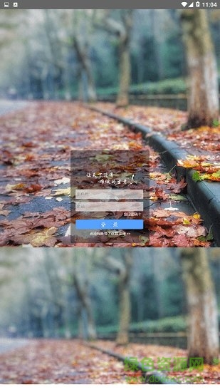 順風鳥 順風鳥app下載