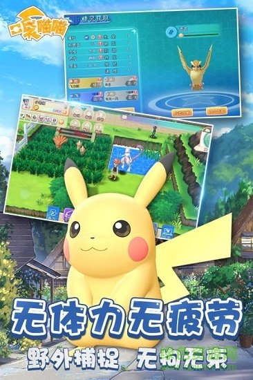 口袋喵喵gm版 v1.1.1 安卓版 0