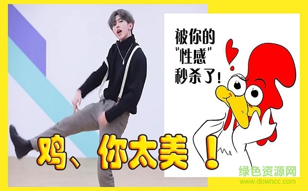 雞你太美表情包