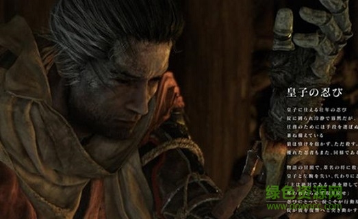 只狼影逝二度存檔下載